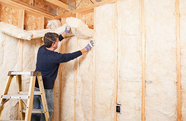 Best Crawl Space Insulation  in Three Lakes, WA